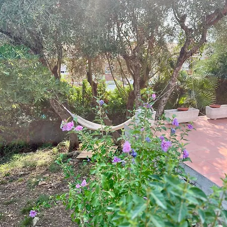 Casa Olivera Ferienhaus *